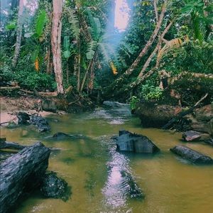 Meet your Posher, Bailey